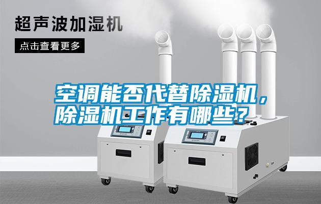 空調(diào)能否代替除濕機(jī)，除濕機(jī)工作有哪些？