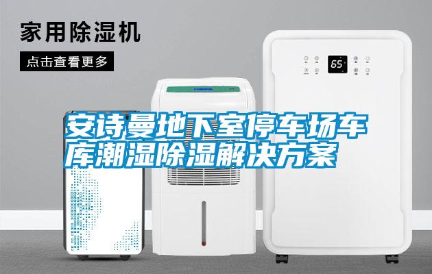 安詩曼地下室停車場(chǎng)車庫潮濕除濕解決方案