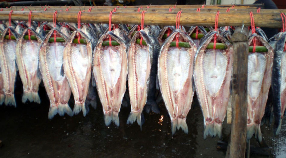 高溫魚(yú)干專用除濕機(jī)烘干除濕海產(chǎn)品烘烤工藝