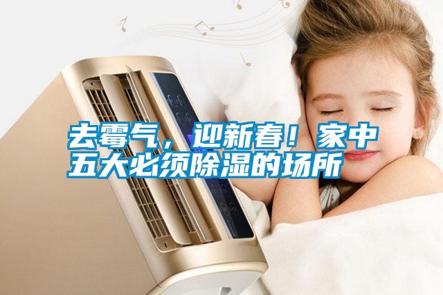 去霉氣，迎新春！家中五大必須除濕的場所