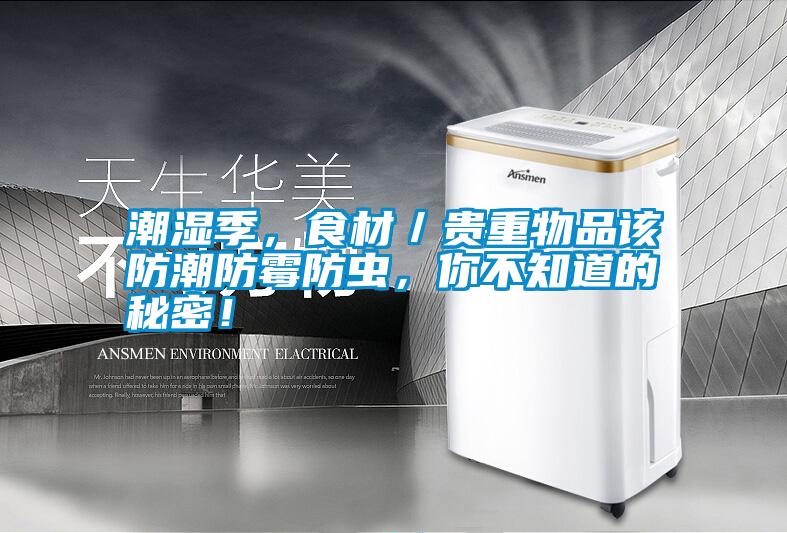 潮濕季，食材／貴重物品該防潮防霉防蟲，你不知道的秘密！
