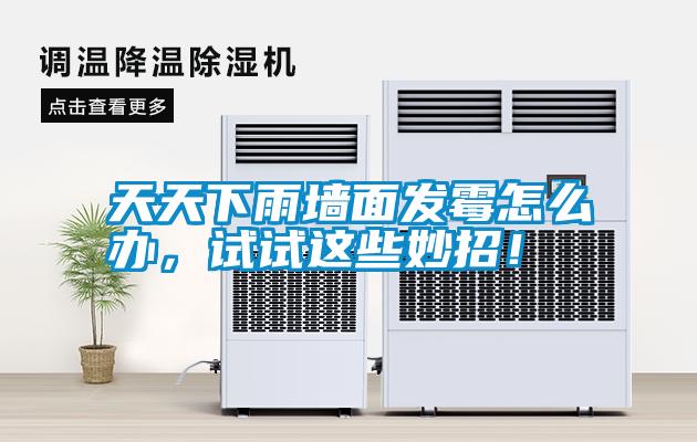 天天下雨墻面發(fā)霉怎么辦，試試這些妙招！