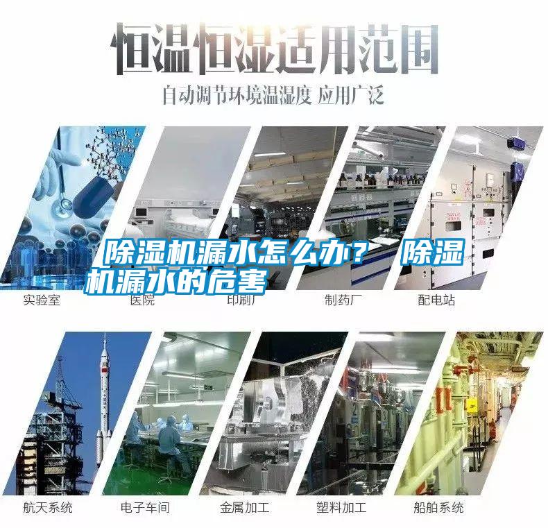  除濕機(jī)漏水怎么辦？ 除濕機(jī)漏水的危害