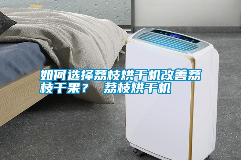 如何選擇荔枝烘干機(jī)改善荔枝干果？ 荔枝烘干機(jī)