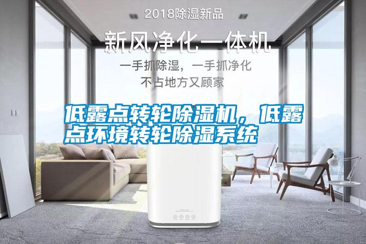 低露點轉輪除濕機，低露點環(huán)境轉輪除濕系統(tǒng)