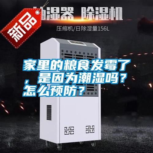 家里的糧食發(fā)霉了，是因?yàn)槌睗駟?？怎么預(yù)防？