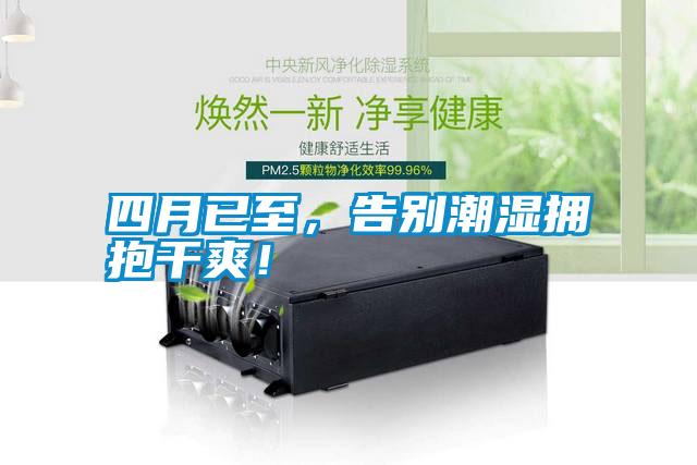 四月已至，告別潮濕擁抱干爽！