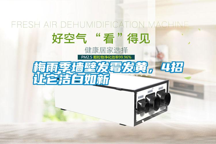 梅雨季墻壁發(fā)霉發(fā)黃，4招讓它潔白如新