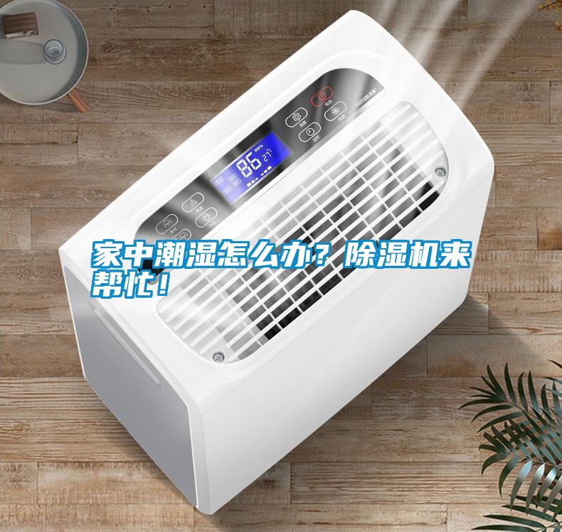 家中潮濕怎么辦？除濕機(jī)來幫忙！