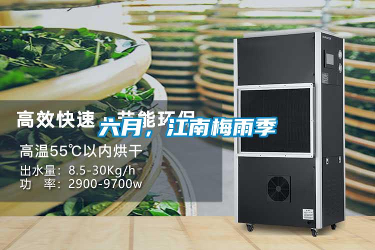 六月，江南梅雨季