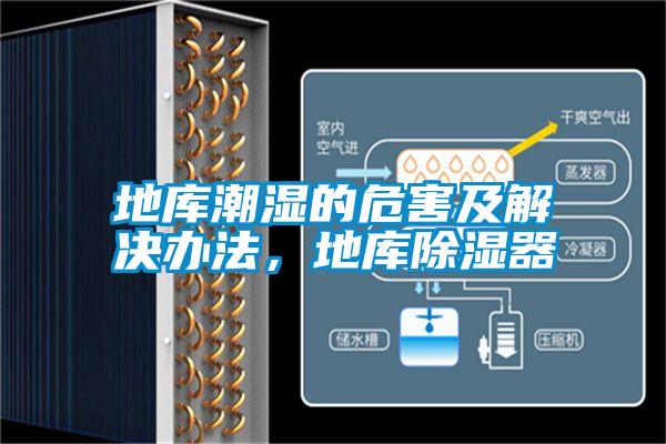 地庫(kù)潮濕的危害及解決辦法，地庫(kù)除濕器