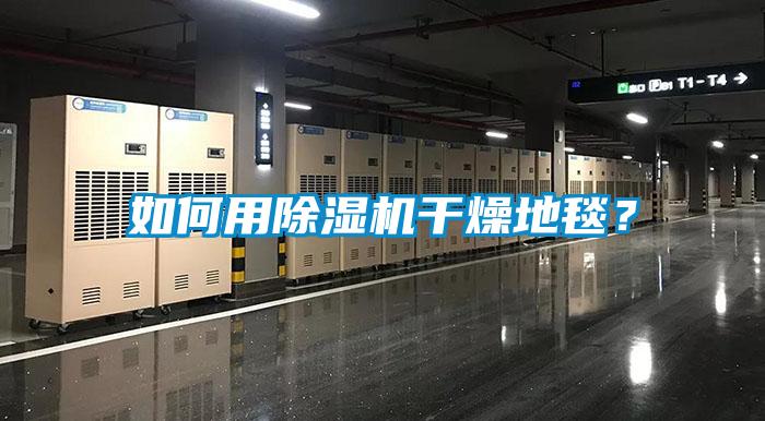 如何用除濕機(jī)干燥地毯？