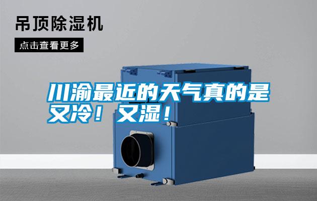 川渝最近的天氣真的是又冷！又濕！
