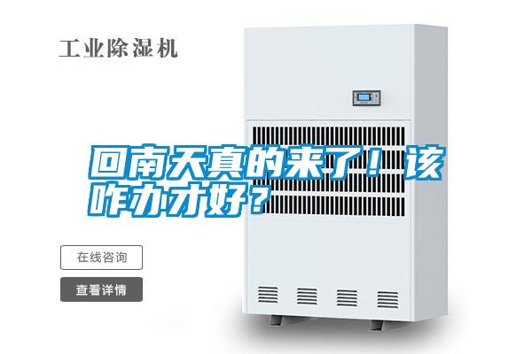 回南天真的來了！該咋辦才好？