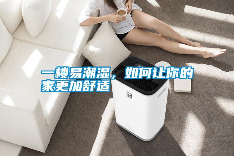 一樓易潮濕，如何讓你的家更加舒適