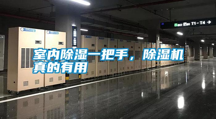 室內(nèi)除濕一把手，除濕機(jī)真的有用