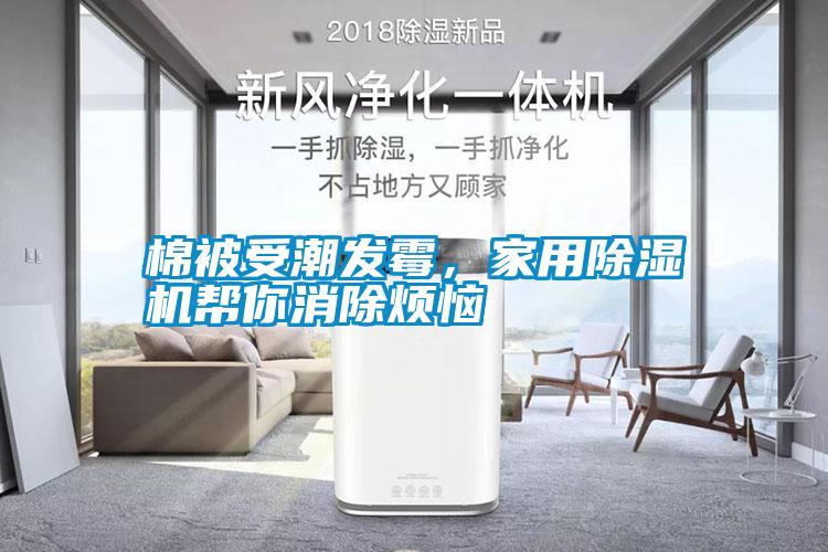 棉被受潮發(fā)霉，家用除濕機幫你消除煩惱