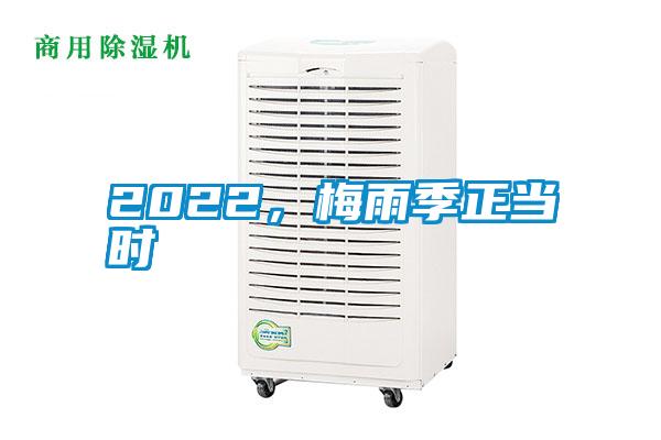 2022，梅雨季正當(dāng)時(shí)
