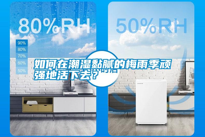 如何在潮濕黏膩的梅雨季頑強(qiáng)地活下去？
