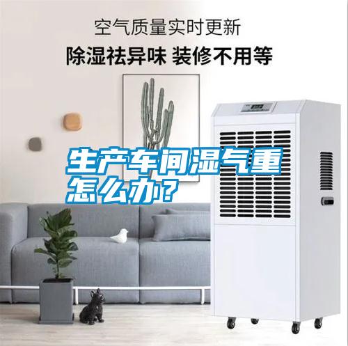 生產(chǎn)車間濕氣重怎么辦？