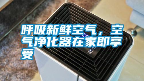 呼吸新鮮空氣，空氣凈化器在家即享受