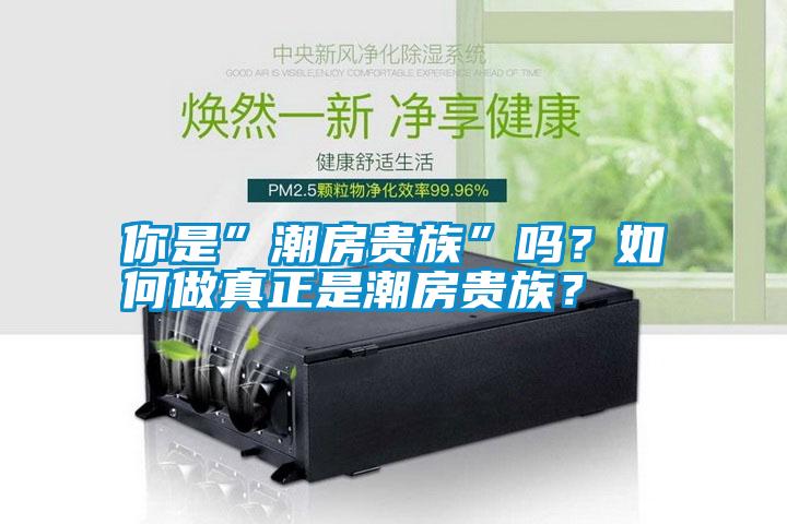 你是”潮房貴族”嗎？如何做真正是潮房貴族？