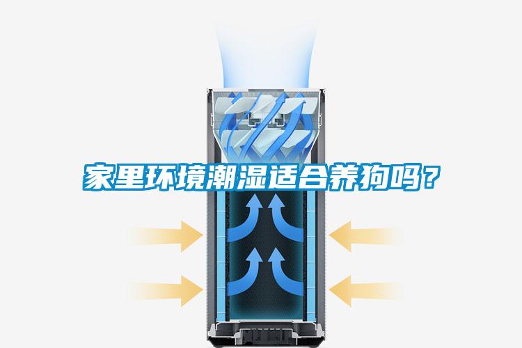 家里環(huán)境潮濕適合養(yǎng)狗嗎？