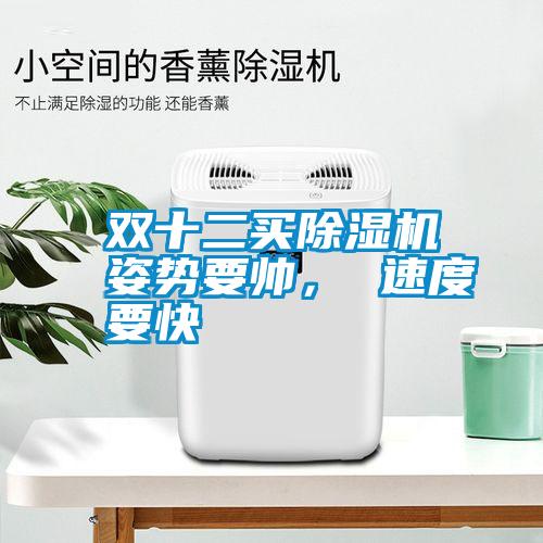 雙十二買除濕機(jī)姿勢要帥， 速度要快
