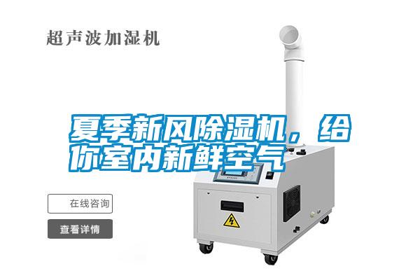 夏季新風(fēng)除濕機(jī)，給你室內(nèi)新鮮空氣