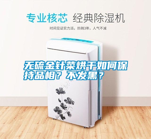 無硫金針菜烘干如何保持品相？不發(fā)黑？