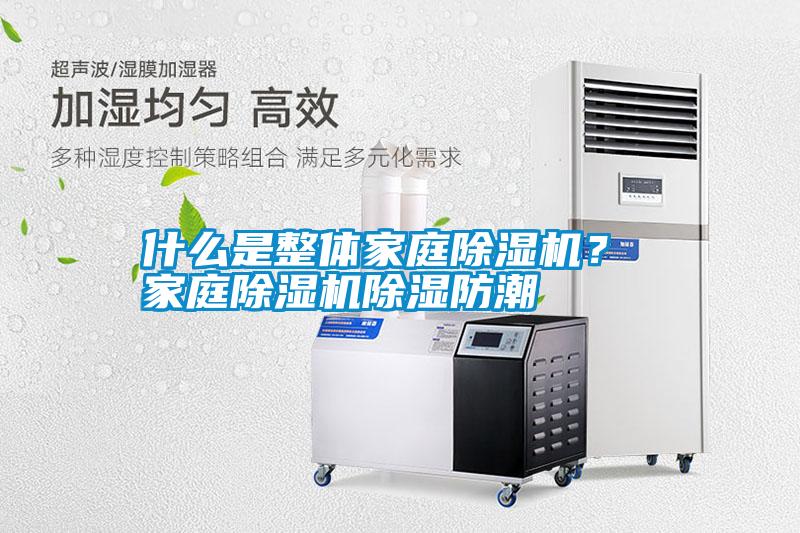 什么是整體家庭除濕機？ 家庭除濕機除濕防潮