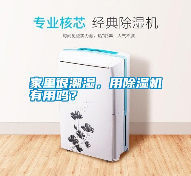 家里很潮濕，用除濕機(jī)有用嗎？