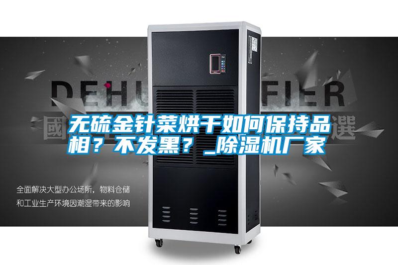 無(wú)硫金針菜烘干如何保持品相？不發(fā)黑？_除濕機(jī)廠家