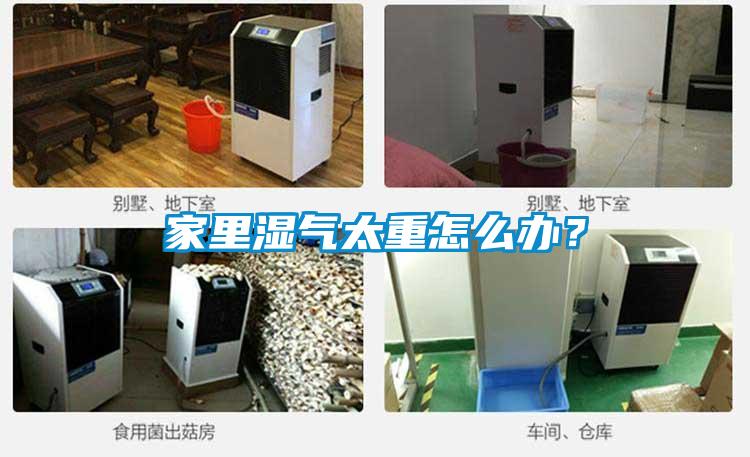 家里濕氣太重怎么辦？