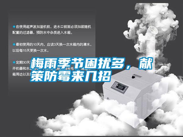 梅雨季節(jié)困擾多，獻策防霉來幾招