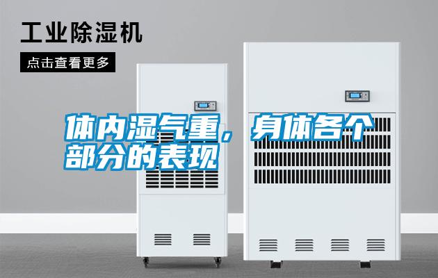 體內(nèi)濕氣重，身體各個部分的表現(xiàn)