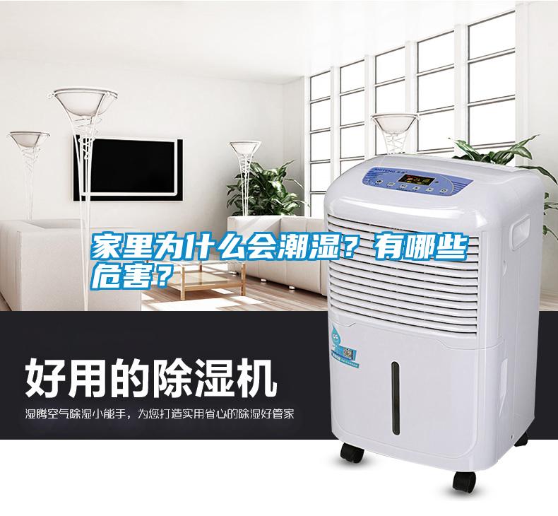 家里為什么會潮濕？有哪些危害？