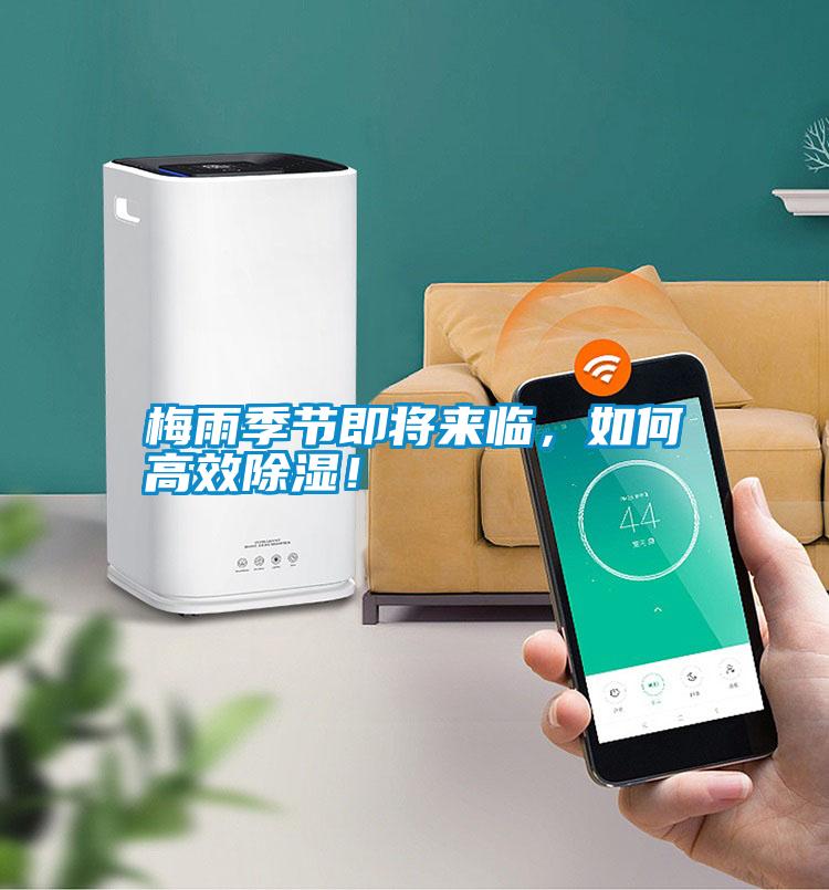 梅雨季節(jié)即將來臨，如何高效除濕！