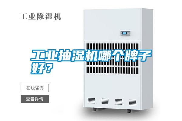 工業(yè)抽濕機哪個牌子好？