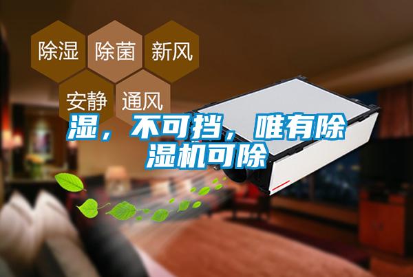 濕，不可擋，唯有除濕機可除