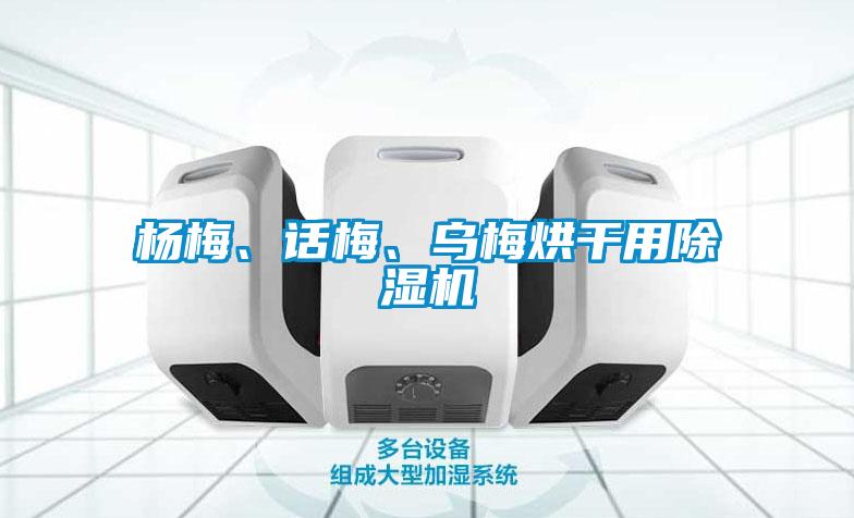 楊梅、話梅、烏梅烘干用除濕機