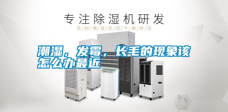 潮濕，發(fā)霉，長(zhǎng)毛的現(xiàn)象該怎么辦最近