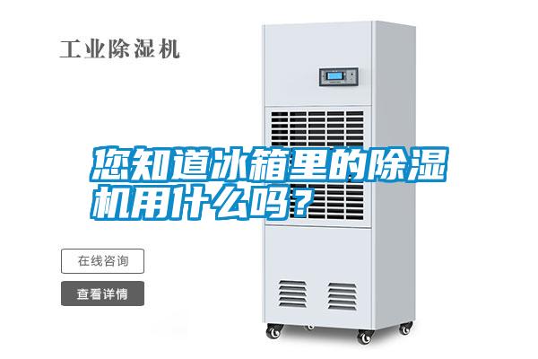 您知道冰箱里的除濕機(jī)用什么嗎？