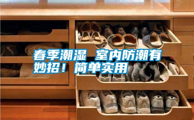 春季潮濕 室內(nèi)防潮有妙招！簡(jiǎn)單實(shí)用