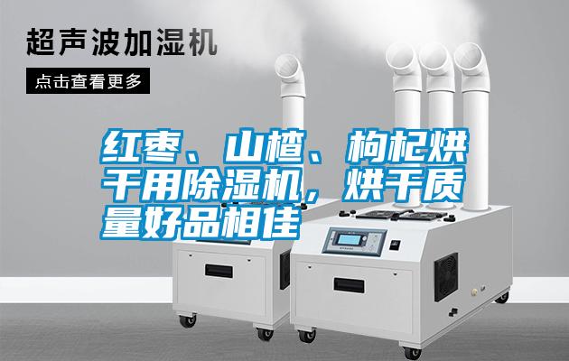 紅棗、山楂、枸杞烘干用除濕機，烘干質(zhì)量好品相佳