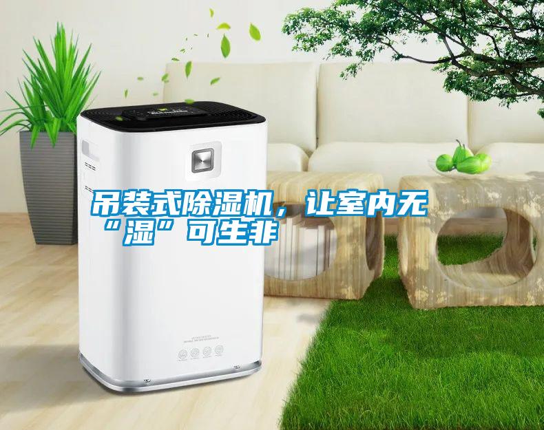 吊裝式除濕機(jī)，讓室內(nèi)無“濕”可生非