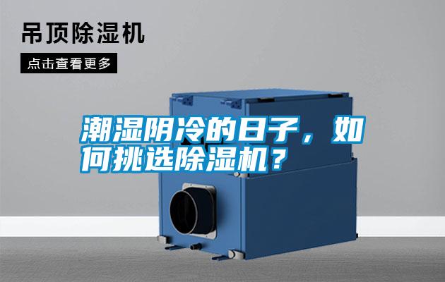 潮濕陰冷的日子，如何挑選除濕機(jī)？