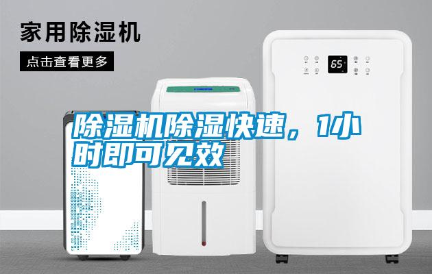 除濕機(jī)除濕快速，1小時(shí)即可見效