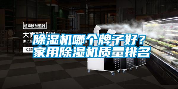 除濕機哪個牌子好？家用除濕機質(zhì)量排名