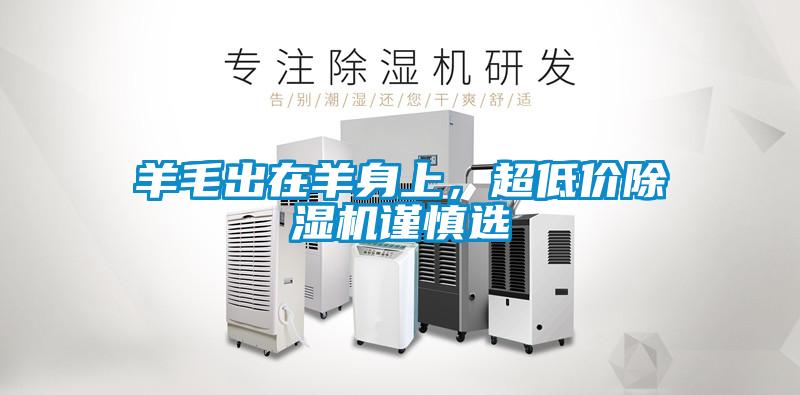 羊毛出在羊身上，超低價除濕機謹慎選